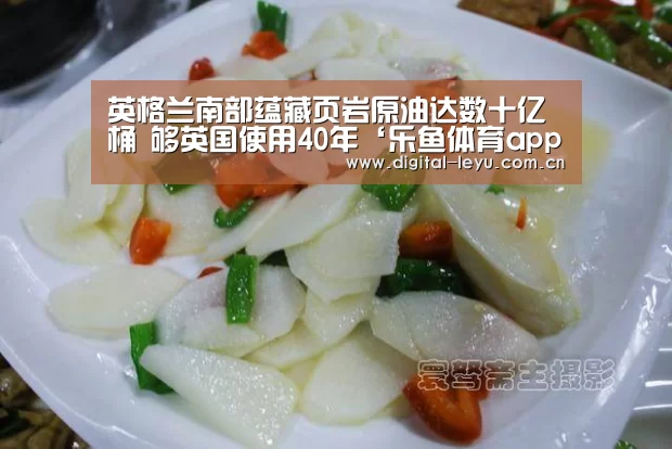 英格兰南部蕴藏页岩原油达数十亿桶 够英国使用40年‘乐鱼体育app下载’(图2) 乐鱼体育app下载