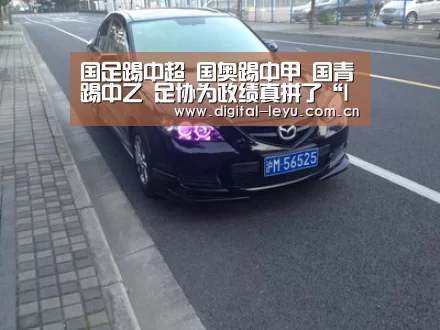 国足踢中超 国奥踢中甲 国青踢中乙 足协为政绩真拼了“leyu”(图2)
国足踢中超 国奥踢中甲 国青踢中乙 足协为政绩真拼了“leyu”(图2)